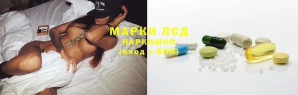 ПСИЛОЦИБИНОВЫЕ ГРИБЫ Зеленодольск