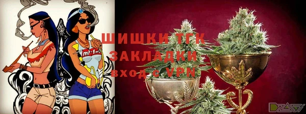 альфа пвп Заводоуковск