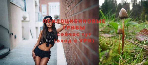 ГАЛЛЮЦИНОГЕННЫЕ ГРИБЫ Зерноград