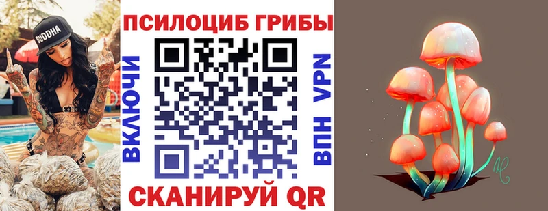 купить наркотики сайты  Иланский  Псилоцибиновые грибы Psilocybe 